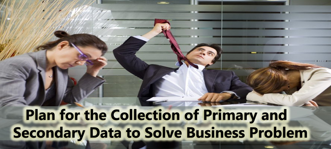Plan primary and secondary data collection techniqueto solve business problems