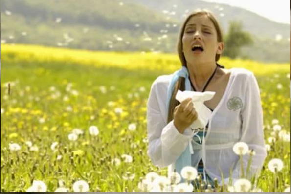 How to Choose the Right Antihistamine for Seasonal Allergies
