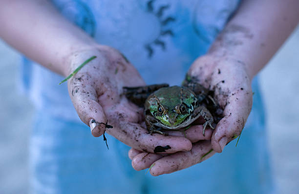 140+ Ecology Research Topics for Environmental Science Students (2026 List)