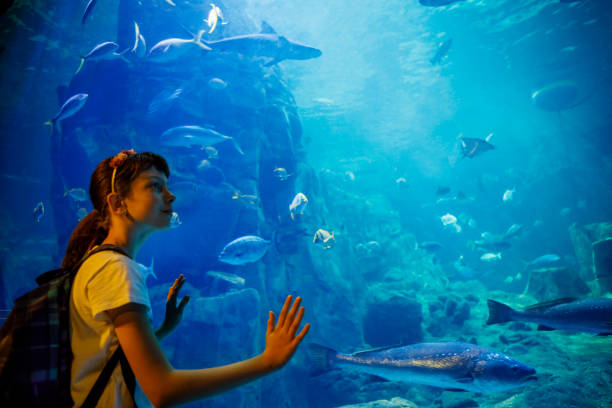 120+ Marine Biology Research Topics for Students (2026 Guide)