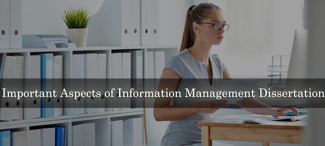 Important Aspects of Information Management Dissertation